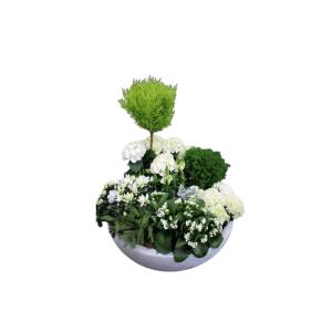 coupe plantes